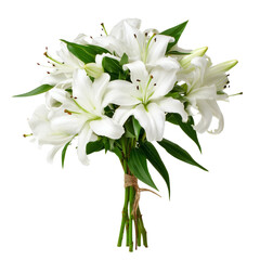 Fototapeta premium White Lily flower bouquet isolated on transparent or white background
