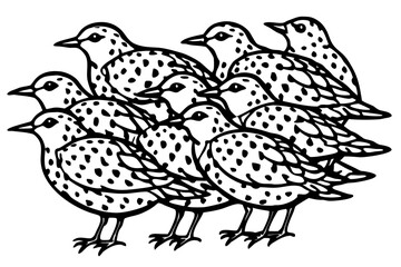 Birds Line Art Bundle Vector on White Background