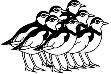 Birds Line Art Bundle Vector on White Background