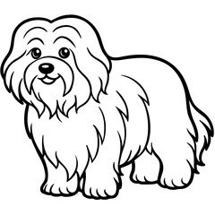 Coton de Tulear Dog Silhouette