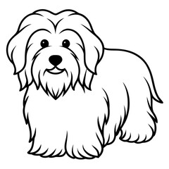 Coton de Tulear Dog Silhouette