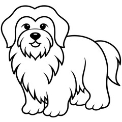 Coton de Tulear Dog Silhouette