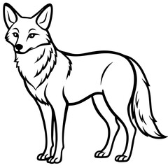 Coyote Silhouette Vector
