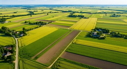 Expansive aerial view of lush green agricultural fields under a bright blue sky