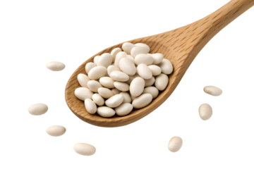 white beans isolated on transparent white background full depth of field clipping path