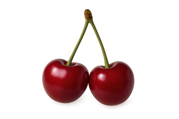 Two ripe red cherries with green stems connected at the top