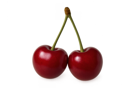 Two ripe red cherries with green stems connected at the top