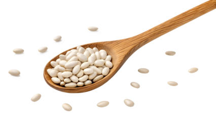 white beans isolated on transparent white background full depth of field clipping path