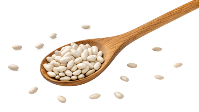 white beans isolated on transparent white background full depth of field clipping path