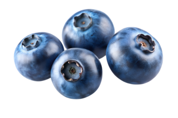 blueberries isolated on transparent white background full depth of field clipping path