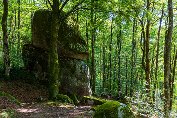 Fototapete bei efototapeten.de bestellen   