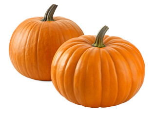 Obraz premium pumpkins isolated on transparent white background full depth of field clipping path