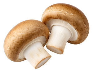 Fototapeta premium mushrooms isolated on transparent white background full depth of field clipping path