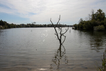Martin-Marettia Park Lake