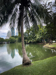 Cloudscape sky on a urban park Lumpini Park in Bangkok, Thailand with skyscrapers in the background