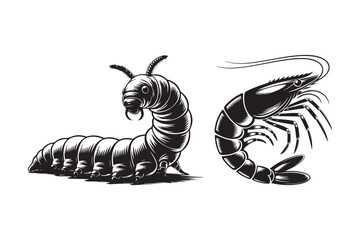Vintage illustration of a caterpillar and a shrimp