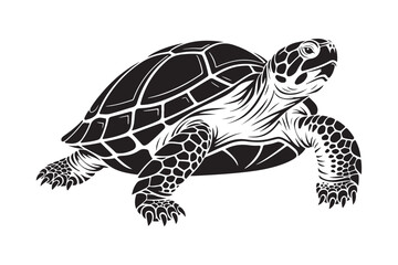 Detailed black and white illustration of a sea turtle