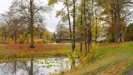 Autumn in Lake Sacajawea Park, Longview, Washington