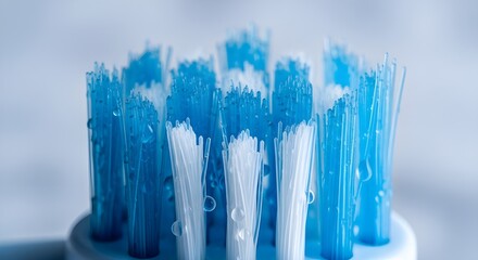 Fresh blue toothbrush bristles closeup with water droplets for sparkling clean teeth and healthy gums, promote dental hygiene and a confident smile