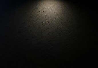 Dramatic spotlight illuminates textured dark background with subtle grain and speckled detail creating atmospheric mood