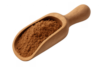 Wooden spoon holding ground cinnamon spice powder