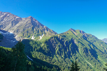 Among the Mountain Greenery of July in France