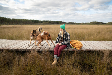 Female owner rest on wooden boardwalk while dogs greet each other on wetland ground. Woman...