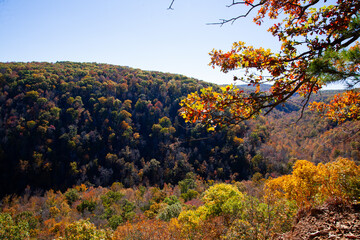 autumn in the mountains