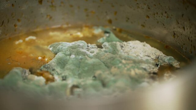 Rotting food inside a pot with visible mold structures. Natural development of fungi. Observation of microbial behavior, stages of decomposition and organic decay. Biology and mycology experiment. 
