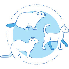 Cute White Animals A Cat A Marmot And A Ferret Inside A Light Blue Circle On A Transparent Background