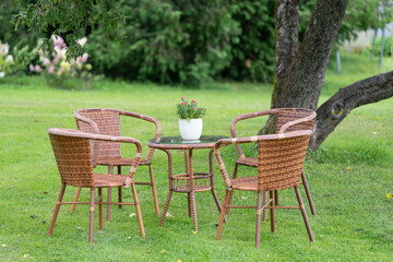 picnic in the garden