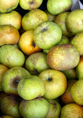 Homemade delicious yellow-green apples in a box.