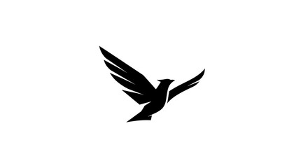 Soaring bird silhouette symbol of freedom