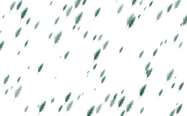Seamless pattern of green fir tree branches isolated on transparent background christmas and new year winter holiday background vector illustration design