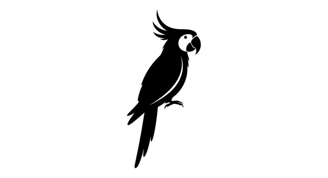 Silhouette of a parrot in black and white