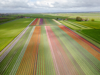 green field in the morning