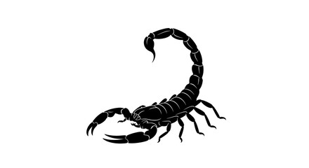 Silhouette scorpion insect isolated vector