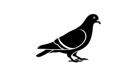Silhouette of a pigeon against a white background