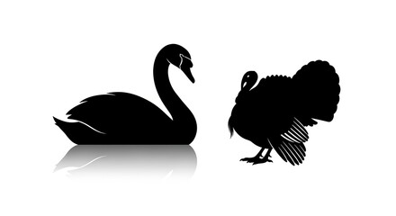 Silhouette swan turkey isolated white background