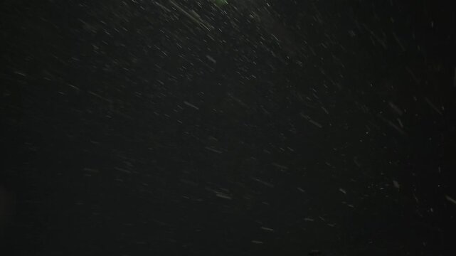 Winter Blizzard Effect With Real Snowfall On Black Background. Heavy Snowstorm Overlay Video Featuring Authentic Fast Snowflakes Blown By Wind, Perfect For Green Screen And VFX Projects.
