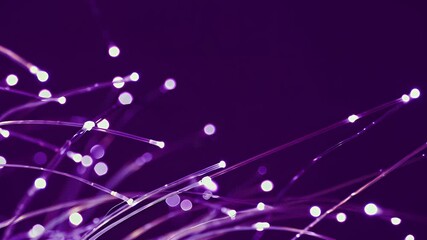 Vibrant Purple Abstract Fiber Optic Network with Glowing White Dots and Lines - Powered by Adobe