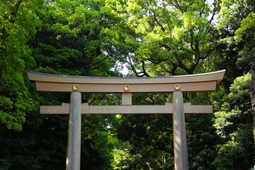 The grand wooden Torii gate at Meiji Jingu Shrine in Tokyo, Japan, standing under a clear blue sky and surrounded by vibrant green trees.