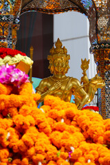 Obraz premium Marigold garlands offered for worship at the Erawan Shrine in Bangkok, Thailand. The heart of Bangkok's spiritual devotion and offerings.