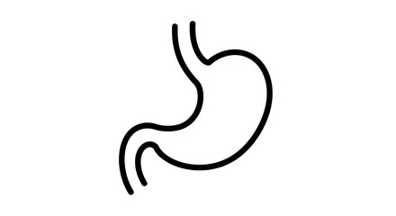 Obraz premium Stomach diagram medical illustration