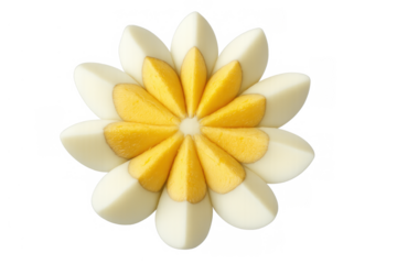 Boiled egg cut and arranged as a creative food flower garnish, a decorative appetizer on transparent background