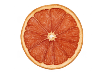 Dried grapefruit slice showing healthy citrus fruit