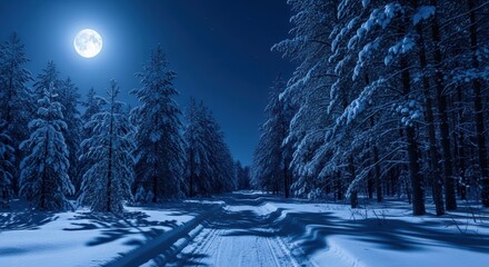 Snowy forest road under full moon in winter night scene