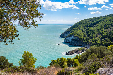 Naklejka premium Breathtaking view of Gargano’s rugged coastline with cliffs, pine forests, and crystal-clear sea, Apulia, Italy