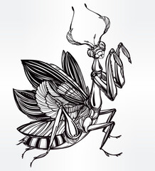 An intricately detailed black and white illustration of a praying mantis with elaborate wings.