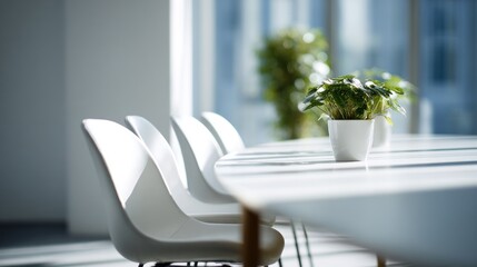 Modern conference room with white chairs and plants for productive meetings